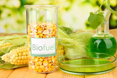 Charleston biofuel availability