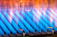 Charleston gas fired boilers